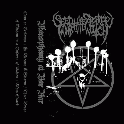 Seed Of The Sorcerer, Womb Of The Witch : Blasphemy at Bar Bar
